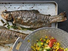 Baked trout with a spicy avocado and corn salad