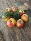 Apples stuck on wooden skewers to make a festive wreath