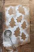 Tree shape biscuit outlines made from icing sugar left on brown baking paper with mini sifter on a rustic wooden surface