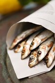 Fresh sardines in newspaper