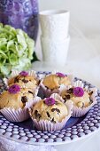 Banana and peanut muffins with chocolate chips