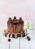 Chocolate cake with rochers