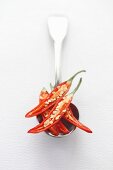 Fresh sliced red chili peppers on a silver spoon with a white background and space for text