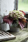 Herbstliches Bouquet aus Hortensienblüte und Blattbegonie