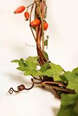 Wreath of rose hips and ivy tendrils (detail)