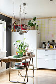 Plants on old workbench in eclectic kitchen