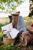 Basket and plates for autumn picnic on tree stump seats