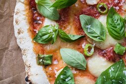 Homemade pizza with tomato, bocconcini and basil