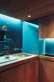 Kitchen made from exotic wood with illuminated back wall