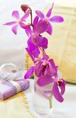 Orchideenblüten in Wasserglas neben verpacktem Geschenk