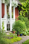 Small beds of ground-cover plants and potted plants outside porch of Swedish house