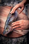 Fisch-Onlinehandel: Zander wird geprüft