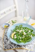 Salad with peas, peashots, beans and feta cheese with olive oil and lemon