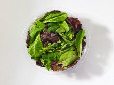 Mixed lettuce leaves in a plastic bowl in front of a white background (seen from above)
