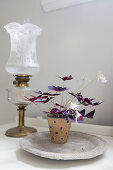 Purple oxalis in polka-dot pot on concrete plate next to old oil lamp