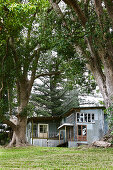 Former stable with corrugated iron facade in the garden with old trees