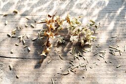 Various dried herbs and herb flowers on a wooden surface