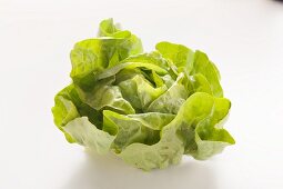 Kopfsalat