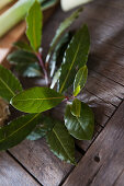 Sprig of bay leaves on rustic wooden table