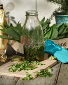 Homemade wild garlic oil in a bottle