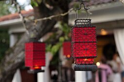 Red lanterns hung in garden