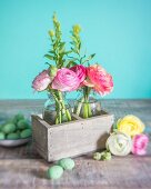 Ranunculus in glass bottles in wooden box and Easter decorations