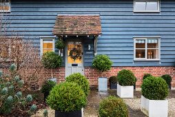 Box balls outside house with clapboard façade and brick base