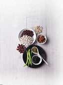 Protein-rich beans - various different types