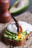 An open sandwich with avocado, poached egg and an anchovy