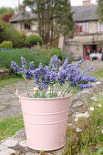 Artificial lavender in pink metal bucket