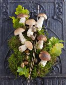 An Autumn still life with stone mushrooms