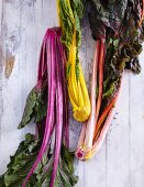 Colourful chard on a white wooden background