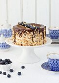 Eierlikör-Schoko-Torte mit Blaubeeren