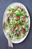 Thai salad with beef tenderloin, cucumber and glass noodles