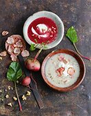 Chioggia beet soup with trout and beetroot soup