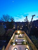 Illuminated urban courtyard garden below night sky