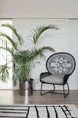 Black classic wire armchair next to potted palm tree