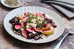 Rote-Bete-Salat mit Äpfeln, Schafskäse, Sonnenblumenkernen und Kresse