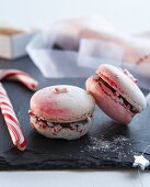 Pink macarons filled with chocolate and candy canes (Christmas)