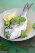 Poached dorade with lemon and mint