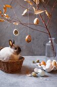 Live bunny in basket surrounded by Easter decorations