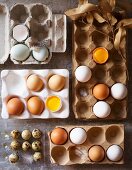 Various fresh eggs in egg boxes
