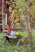 Herbstliche Deko auf der Bank im Garten vorm Schwedenhaus