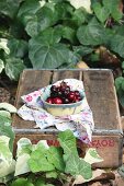 Fresh cherries in a small bowl on a wooden box in a garden