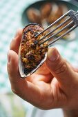 Grilled mussels in a herb crust