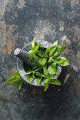 Basil leaves in a mortar