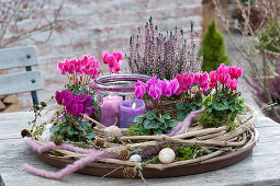 Cyclamen in a wreath of clematis tendrils