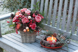 Gefrorener Weihnachtsstrauss aus Rosa (Rosen), Pinus (Kiefer)