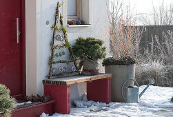 Triangle of branches as a feeding staircase