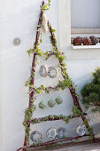 Triangle of branches as a feeding staircase